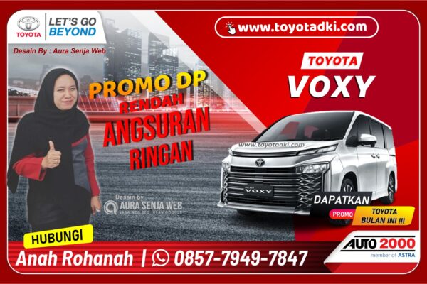 VOXY